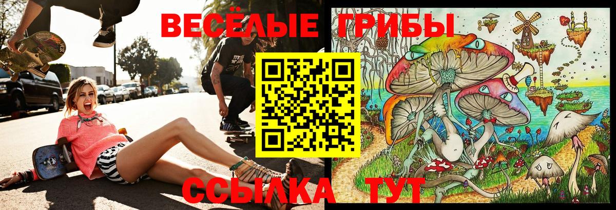 как найти   Вход с VPN  Избербаш  Галлюциногенные грибы GOLDEN TEACHER 